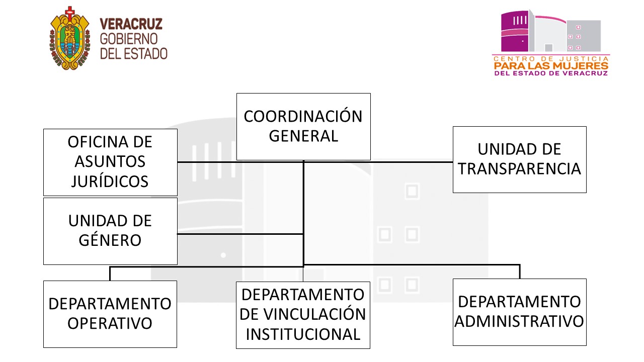 ORGANIGRAMA1