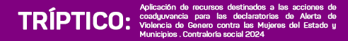 botones - TRIPTICO-alerta de violencia-1
